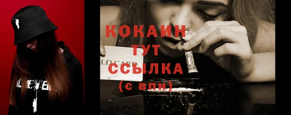 прущие грибы Верея