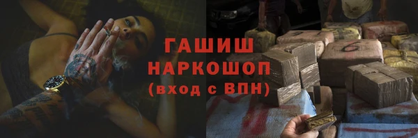 крисы Надым